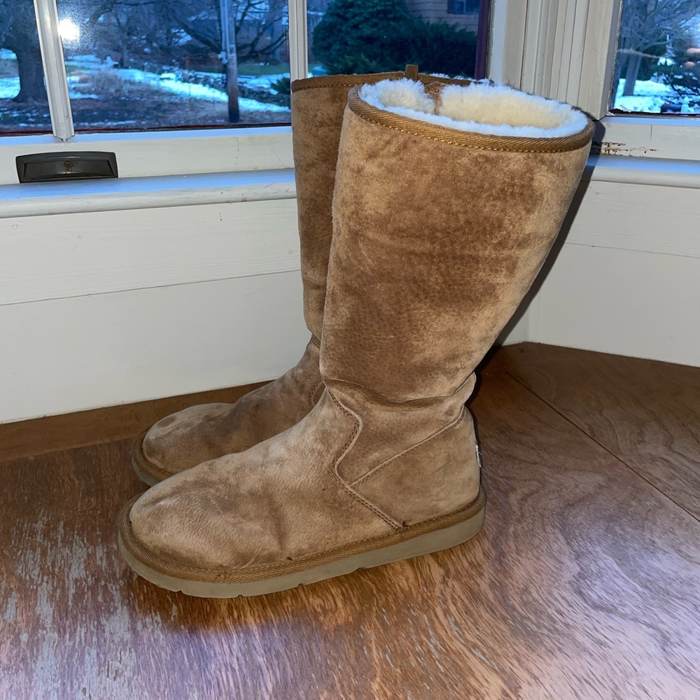 Tall zip up ugg boot